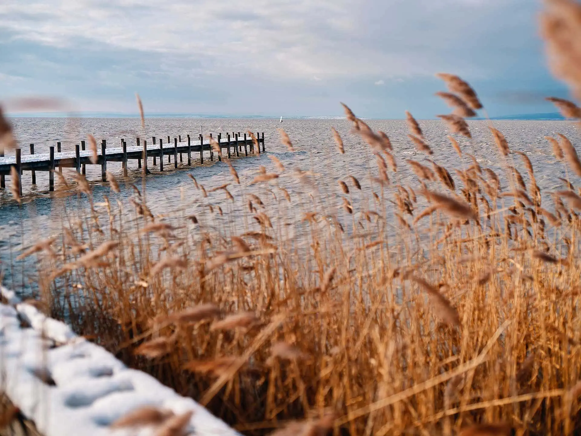 Featured image for “Neusiedlersee: Austria’s sunny side of cool”